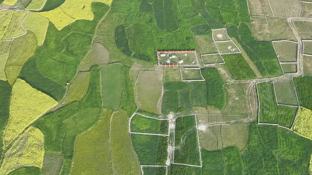 農地與田區空拍景色，介紹常見土地類型差異